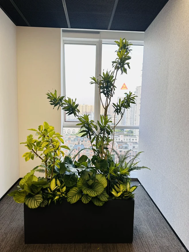 室内花箱绿植隔断|花箱植物造景 - 小红书-花瓣网