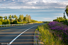 栀芓采集到道路景观