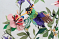 飞鸟变形记

 
 
 
来自哥伦比亚的艺术家Diana Beltran Herrera，一心专注于鸟儿的造型研究，创作出这些活灵活现的纸雕鸟儿

(7张)