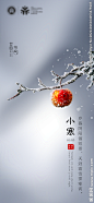 小寒手机海报