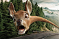 Mercedes-Benz "Spots danger ahead" : Mercedes-Benz "spots danger ahead". These fantastically wacky, long necked caricatures of granny and the deer are our latest production with Illusion and Wirz Zurich.