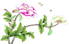 花鸟画   - 源文件下载【酷图网】花鸟画,牡丹花鸟画,牡丹,牡丹花鸟国画,国画牡丹,国画花鸟,手绘牡丹花鸟,手绘牡丹,手绘花鸟,花开富贵,工笔花鸟画,