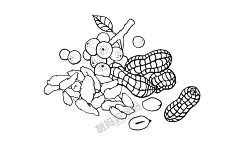 手绘干果-胡妈妈冰粉干果（花生、葡萄干、山楂）插图