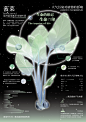 菠菜可视化改板-04植物信息可视化设计
blender植物建模

