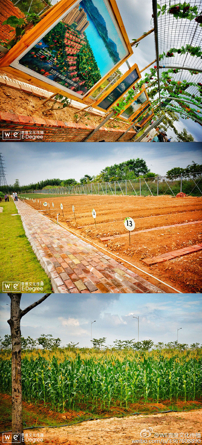 「皇家翡翠湾庄园开园仪式」 用生活的点滴...