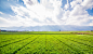 Free photo farmland