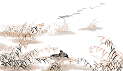 手绘水彩芦苇丛植物透明背景免抠PNG图案 装饰PS设计合成素材 (69)