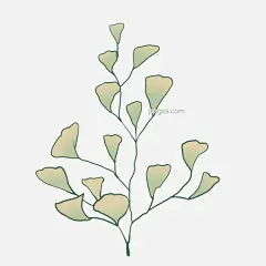 书签图片图片大小3779x3779px 图片尺寸687.52 KB 来自PNG搜索网 pngss.com 免费免扣png素材下载！300dpi#psd#白色#广告设计#荷花#荷花素材#荷叶#简单大气书签#节日元素#卡片#课本书签#美丽书签#名片#