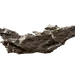 枯木