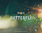 WJSN - Butterfly / CG VFX
