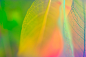 01302660a23f9011013f472040cab6.jpg@1280w_1l_2o_100sh