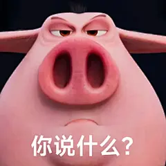 飞天猪表情包来咯！速来进货！！ - 小红书