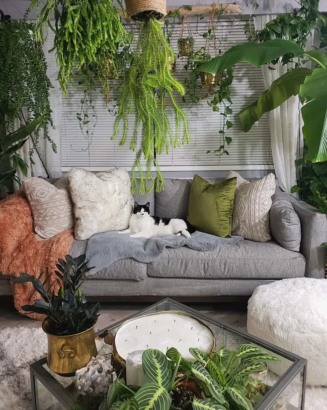 Image may contain: table, plant, living room and indoor-花瓣网