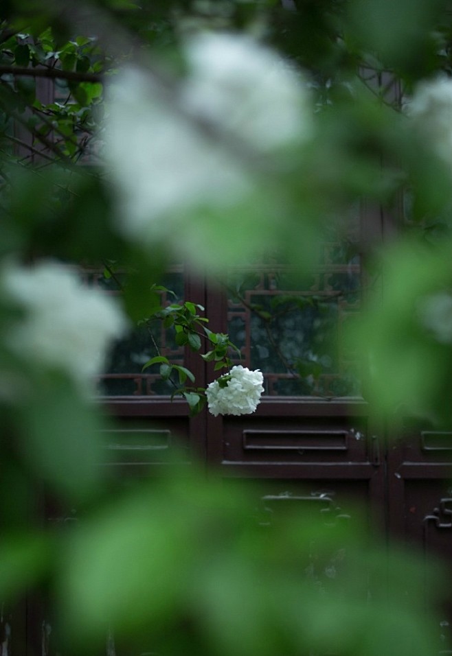 南園池館花如雪，小塘春水漣漪。
 