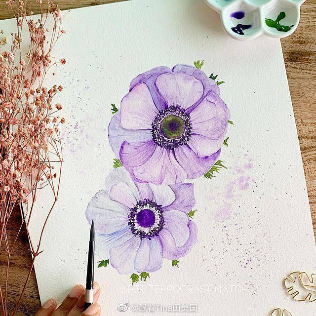 花卉！
ins：petiteprocra...