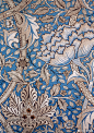 纹样
William Morris ​​​​