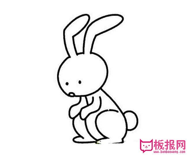 小兔子简笔画图片大全可爱的小兔子