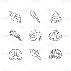 海壳像素完美线形图标集.各种软体动物壳,锥形可定制的细线等高线符号.各种鸡窝隔离矢量轮廓说明.可编辑