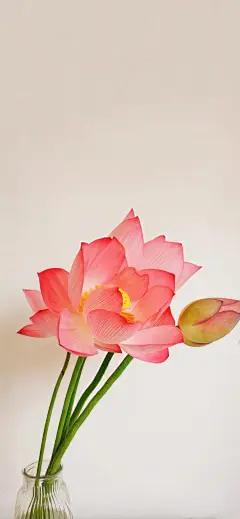 (2 条消息) 有哪些让人一眼就喜欢的全面屏壁纸？ - 知乎 : 对了对了，要全面屏的，最好是那种xs max的