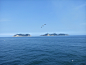 海（大连）