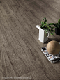 ARBOR 3D WOODEN TOBACCO 40X80 - Ceramic tiles from Atlas Concorde | Architonic : ARBOR 3D WOODEN TOBACCO 40X80 - Designer Ceramic tiles from Atlas Concorde ✓ all information ✓ high-resolution images ✓ CADs ✓ catalogues ✓..
