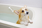 Love!Bathing! by Naoaki Sugi on 500px