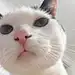 大铁