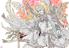 穆建国采集到【插图】鸽子