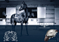 42.-Visual_Longines