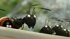 动画电影《昆虫总动员》桌面壁纸 
尺寸：1920x1080 
图片编号：23299-458773