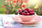 樱桃, 碗, 粉红色, 水果, 早餐, 上午, 新鲜, 健康, 有机, 素, 饮食, 成熟, 营养, 多汁