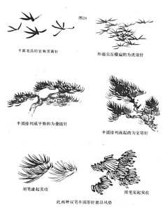景观手绘-花瓣网|陪你做生活的设计师 | 国画，树枝画法