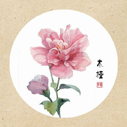 清新古风花卉插画可作头像的花卉插画图片