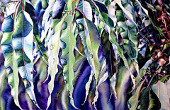 夏栀子采集到pat_hall_art