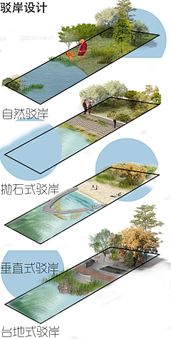 多闻草木少识人采集到驳岸