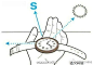 【利用手表巧辨方向】把当时的时间除以2，得到的数字的指针对准太阳的方向，则12点所对的方向即为北方。例如：下午两点即14点，除以2得7，把7点的位置对准太阳的方向，则12的方向就是北方。必须收着，绝对有用！
