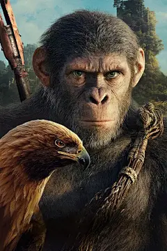 猩球崛起4：新世界 Kingdom of the Planet of the Apes 海报