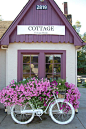 Window Box full of beautiful, blooming petunias, Bicopia, and other annuals -"Cottage" a vintage shop  Maison Douce