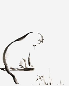 love3cat采集到中国风