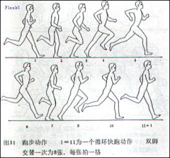 bb丽采集到逐帧动画