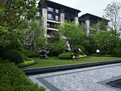 龙湖植物
