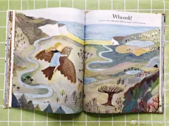 儿童插画超话蛋花汤插画超话#圆子插画#零基础学插画超话@圆子插画 今天给大家分享Gemma Koomen的第一本绘本《Flock》❤️最近真的很爱这本书了。这是一本关于友情的故事❤️喜欢作者这种轻松的笔触和低饱和的配色，非常值得学习。 ​​​​