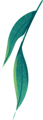 春季节气完整插画B-柳叶条