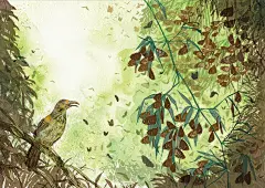 斯氏紫斑蝶的傳說－繪本插畫 /作者：廖金山 : 斯氏紫斑蝶的傳說繪本插畫