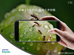 洪小妹Amei采集到(二十四节气)谷雨
