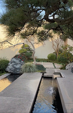 设计师-青三采集到现代庭院