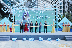 Q素材采集到舞台