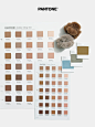 官宣 | Pantone 2025 年度代表色正式发布 - 小红书
