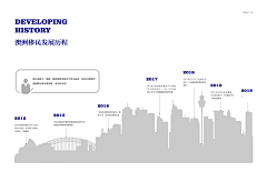 LINCI_413采集到发展历程