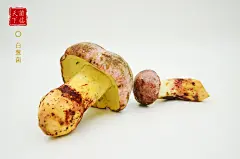 白葱菌